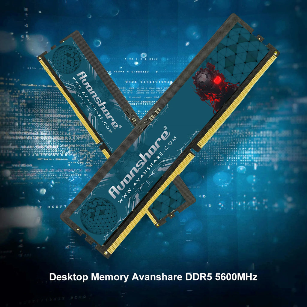 Avanshare DDR5 desktop memory 
